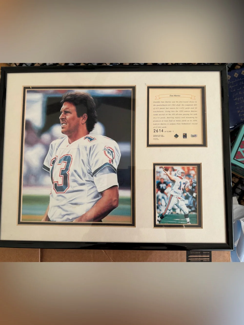 Dan Marino LE # 2614 Framed Sports Memorabilia Wall Art - White Jersey Accent